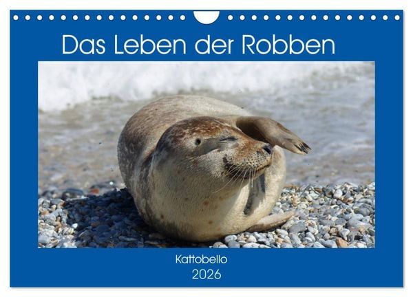 Produktbild: Das Leben der Robben (Wandkalender 2026 DIN A4 quer), CALVENDO Monatskalender