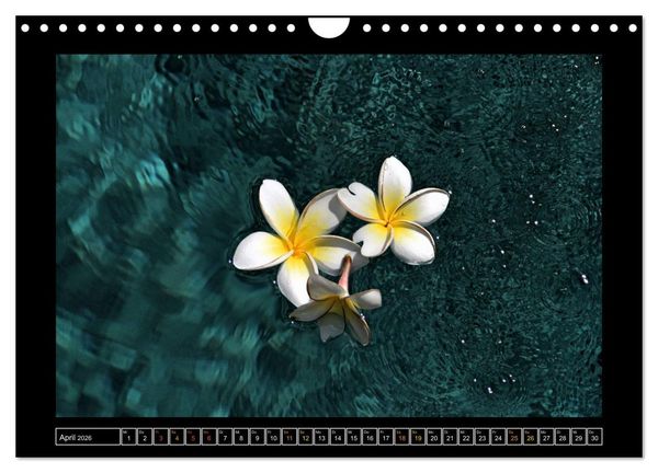 Produktbild: Bali - Details (Wandkalender 2026 DIN A4 quer), CALVENDO Monatskalender