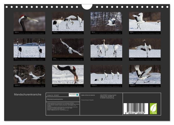 Produktbild: Mandschurenkraniche (Wandkalender 2026 DIN A4 quer), CALVENDO Monatskalender