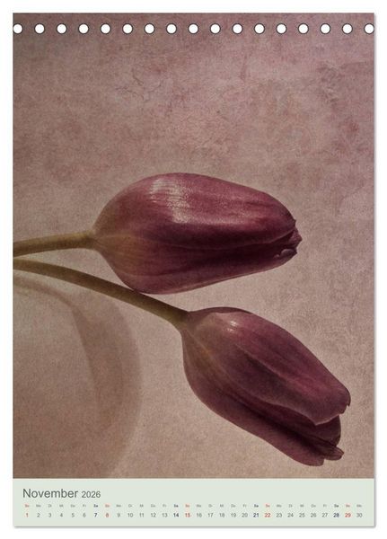 Produktbild: Flora (Tischkalender 2026 DIN A5 hoch), CALVENDO Monatskalender
