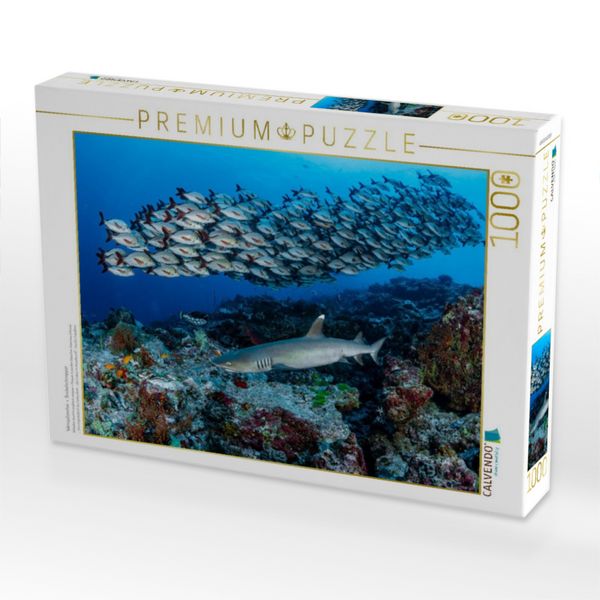 Produktbild: CALVENDO Puzzle Weisspitzenhai + Buckelschnapper | 1000 Teile Lege-Gr&ouml;&szlig;e 64x48cm Foto-Puzzle f&uuml;r gl&uuml;ckliche Stunden