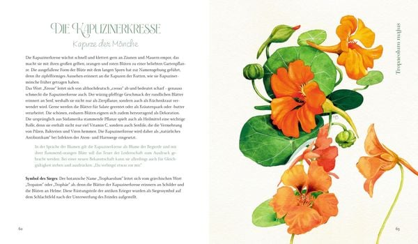 Produktbild: Inspirationen: Vom Zauber der Blumen - M. Bastin