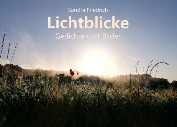 Produktbild: Lichtblicke