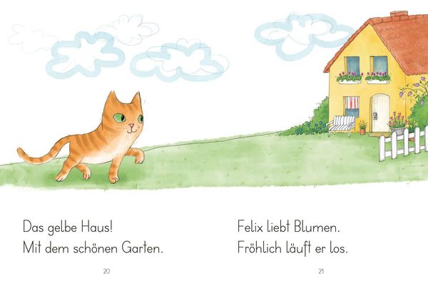 LESEZUG/1. Klasse: Kater Felix findet ein Zuhause