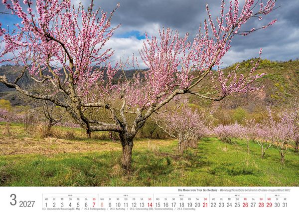 Produktbild: Die Mosel von Trier bis Koblenz 2026 Bildkalender A3 Spiralbindung