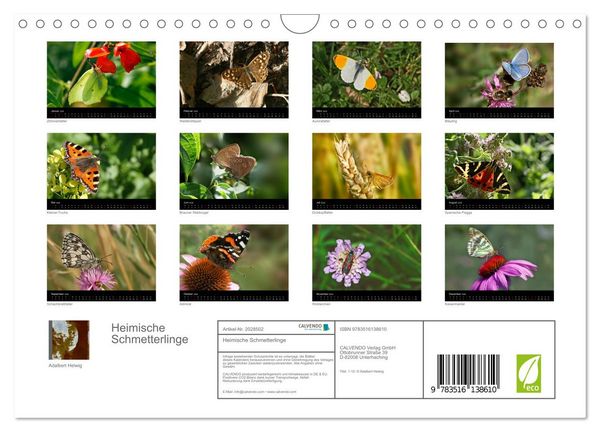 Produktbild: Heimische Schmetterlinge (Wandkalender 2026 DIN A4 quer), CALVENDO Monatskalender