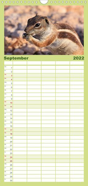 Produktbild: Atlash&ouml;rnchen - Familienplaner hoch (Wandkalender 2022 , 21 cm x 45 cm, hoch)
