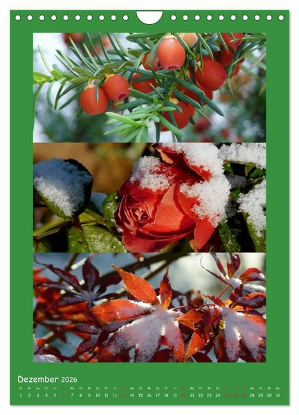 Produktbild: Natur im Farbenrausch (Wandkalender 2026 DIN A4 hoch), CALVENDO Monatskalender