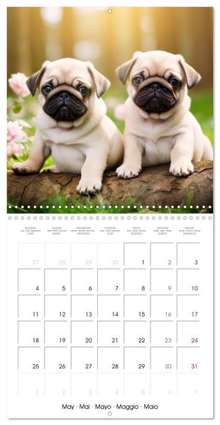Produktbild: Cute PUPPY PERSONALITIES (Wall Calendar 2026 12 &times; 12 Inch) CALVENDO 12 Month Wall Calendar