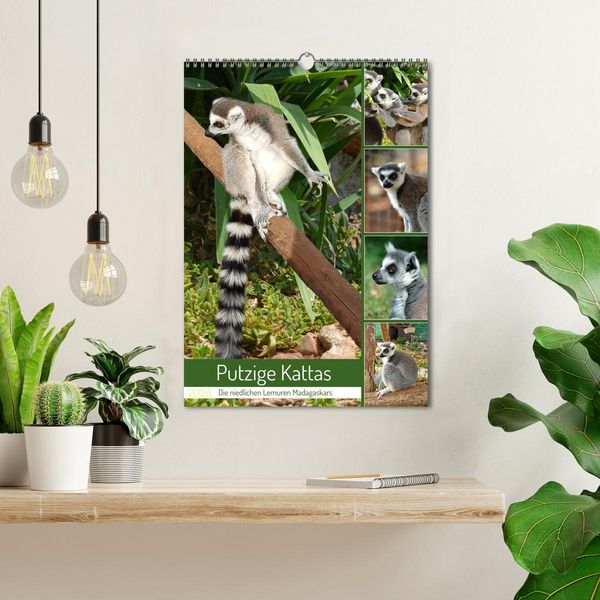 Produktbild: Putzige Kattas (Wandkalender 2026 DIN A3 hoch), CALVENDO Monatskalender