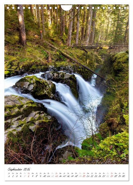 Produktbild: Weltnaturerbe Olympic National Park (Wandkalender 2026 DIN A4 hoch), CALVENDO Monatskalender