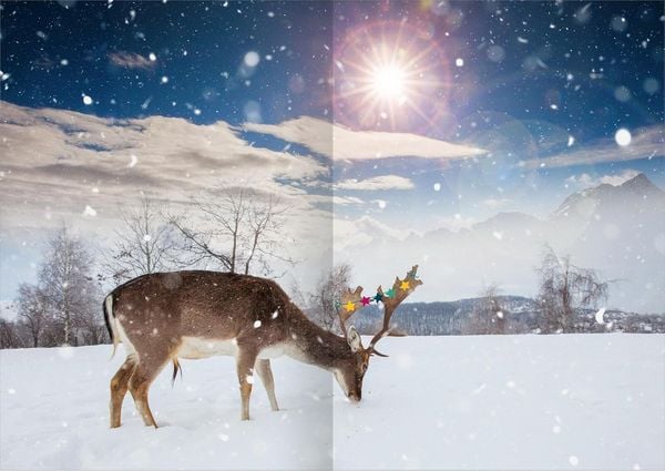 Produktbild: Meine Sticker-Fotowelt &ndash; Wichtelweihnacht