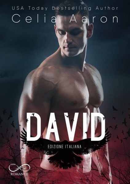 Produktbild: David