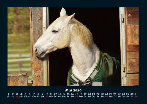 Produktbild: Pferde Kalender 2026 Fotokalender DIN A4