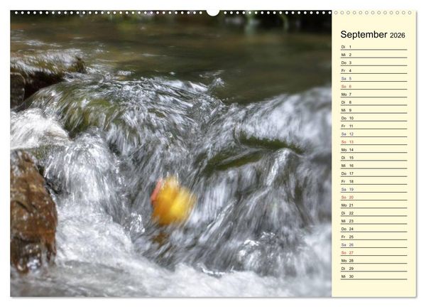 Produktbild: Enten-Rennen (Wandkalender 2026 DIN A2 quer), CALVENDO Monatskalender