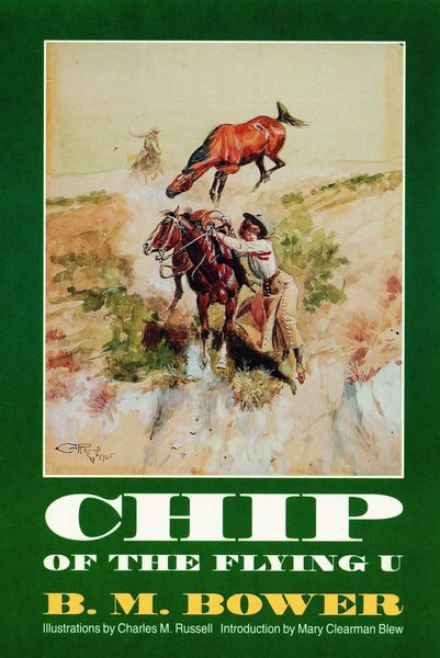 Produktbild: Chip of the Flying U