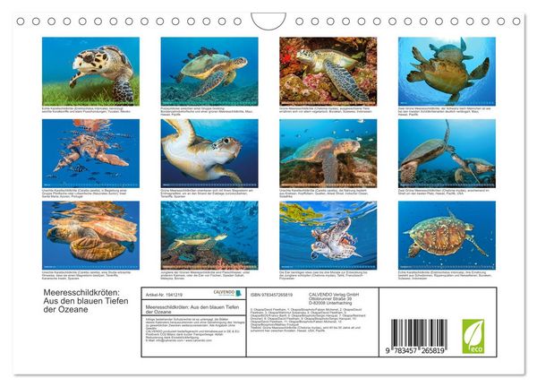 Produktbild: Meeresschildkr&ouml;ten: Aus den blauen Tiefen der Ozeane (Wandkalender 2026 DIN A4 quer), CALVENDO Monatskalender