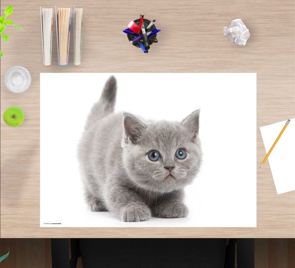 Produktbild: Cover-your-desk Schreibtischunterlage f&uuml;r Kinder und Erwachsene S&uuml;&szlig;e graue Katze, aus hochwertigem Vinyl , 60 x 40 cm