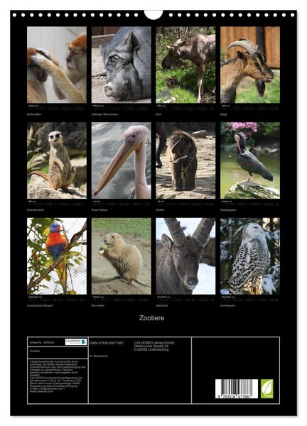 Produktbild: Zootiere (Wandkalender 2026 DIN A3 hoch), CALVENDO Monatskalender