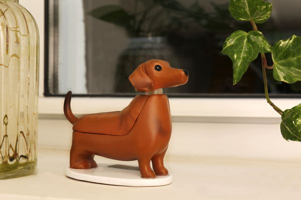 Solar Dashund - Boudewijn