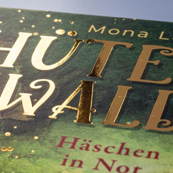Produktbild: H&uuml;terin des Waldes 2: H&auml;schen in Not