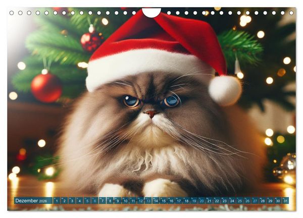 Produktbild: Katzenlaunen - Durch das Jahr mit Fluff und Grummeln (Wandkalender 2026 DIN A4 quer), CALVENDO Monatskalender