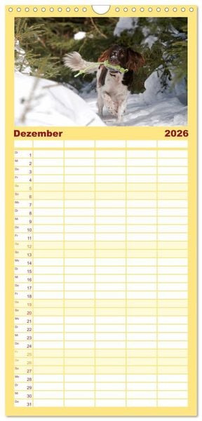 Produktbild: Familienplaner 2026 - Passion Jagdhund - Kleiner M&uuml;nsterl&auml;nder mit 5 Spalten (Wandkalender, 21 x 45 cm) CALVENDO