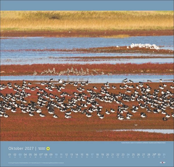 Produktbild: Nationalpark Wattenmeer Edition Kalender 2027 - Martin Stock