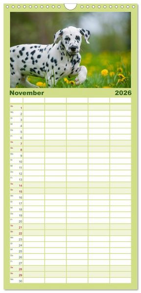 Produktbild: Familienplaner 2026 - Dalmatiner mit 5 Spalten (Wandkalender, 21 x 45 cm) CALVENDO