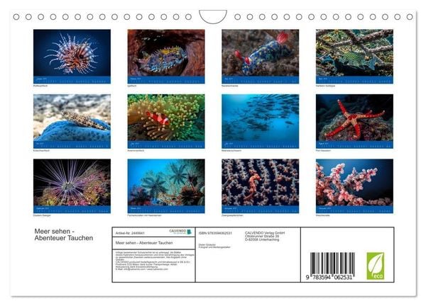 Produktbild: Meer sehen - Abenteuer Tauchen (Wandkalender 2027 DIN A4 quer), CALVENDO Monatskalender