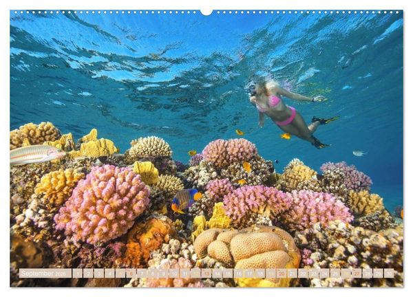 Produktbild: Die Malediven: Fluchtpunkt Sehnsucht (Wandkalender 2026 DIN A2 quer), CALVENDO Monatskalender