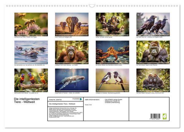 Produktbild: Die intelligentesten Tiere - Weltweit (Wandkalender 2027 DIN A2 quer), CALVENDO Monatskalender
