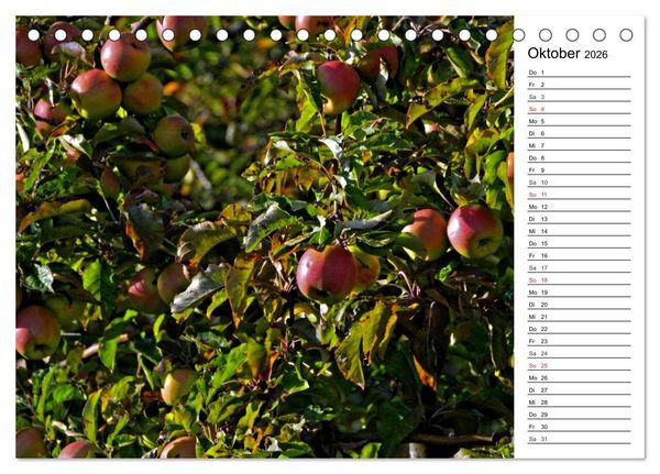 Produktbild: Landschaften des Kraichgaus (Tischkalender 2026 DIN A5 quer), CALVENDO Monatskalender
