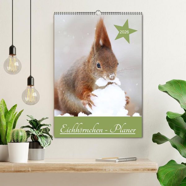 Produktbild: Eichh&ouml;rnchen - Planer (Wandkalender 2026 DIN A2 hoch), CALVENDO Monatskalender
