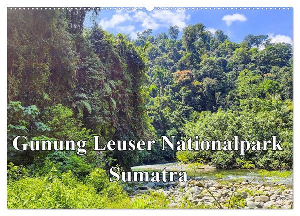 Gunung Leuser Nationalpark Sumatra (Wandkalender 2025 DIN A2 quer), CALVENDO Monatskalender