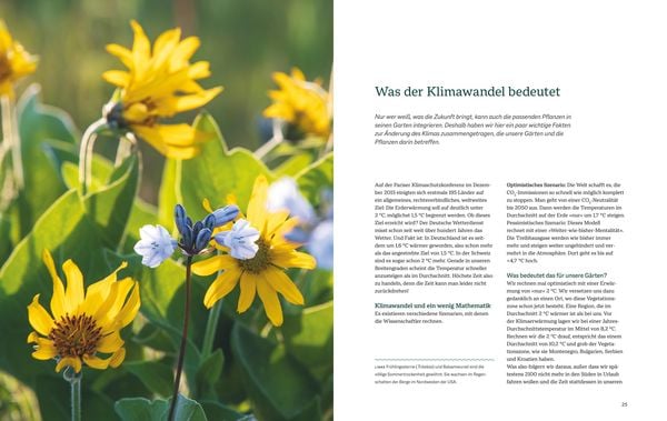 Produktbild: Robuste Traumbeete gestalten