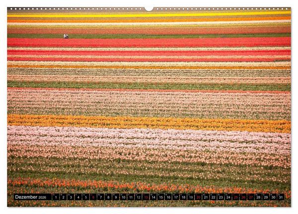 Produktbild: Tulpen (hochwertiger Premium Wandkalender 2026 DIN A2 quer), Kunstdruck in Hochglanz