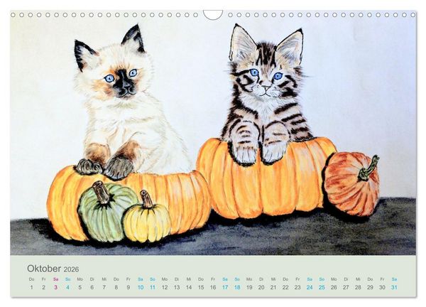 Produktbild: KATZEN PortraiTierART (Wandkalender 2026 DIN A3 quer), CALVENDO Monatskalender