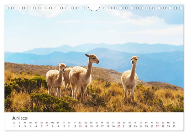Produktbild: Argentinien - vielseitig und kontrastreich (Wandkalender 2026 DIN A4 quer), CALVENDO Monatskalender