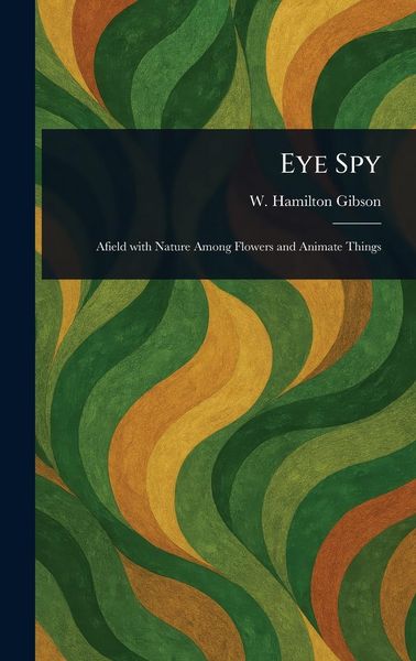 Produktbild: Eye Spy
