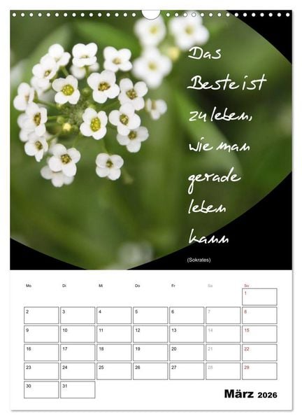 Produktbild: Spr&uuml;che und Weisheiten f&uuml;r&acute; s Jahr (Wandkalender 2026 DIN A3 hoch), CALVENDO Monatskalender
