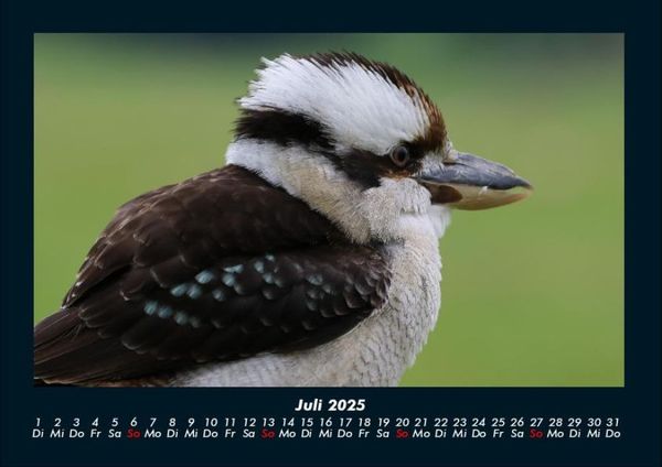 Produktbild: Vogelparadies 2025 Fotokalender DIN A4