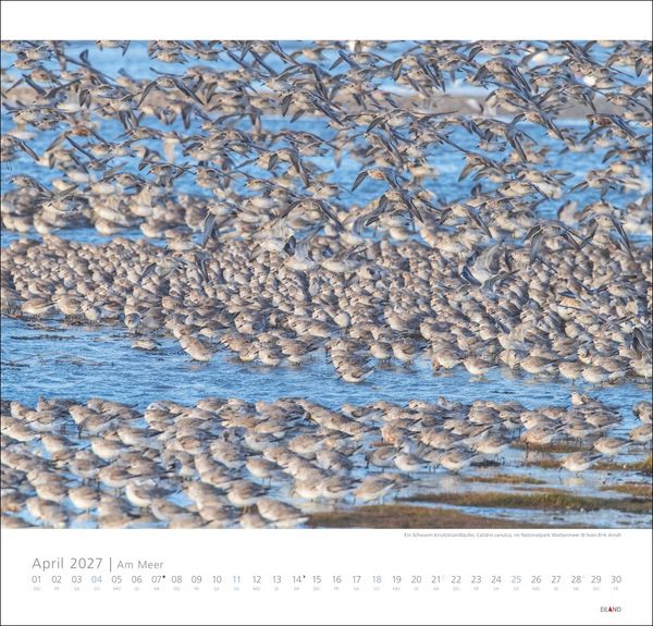 Produktbild: Am Meer Edition Kalender 2027 - Sand, Wind und Wellen