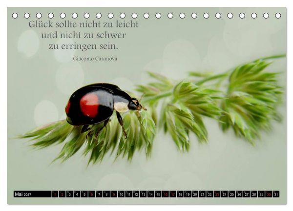 Produktbild: Das kleine, gro&szlig;e Gl&uuml;ck (Tischkalender 2027 DIN A5 quer), CALVENDO Monatskalender