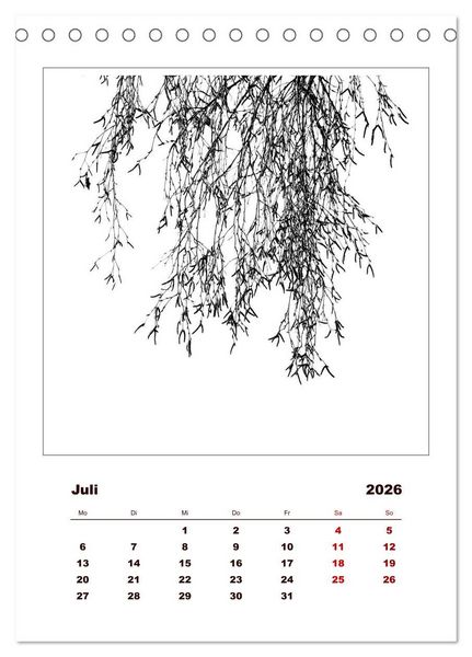 Produktbild: LignoGrafica - Muster und Strukturen der B&auml;ume (Tischkalender 2026 DIN A5 hoch), CALVENDO Monatskalender