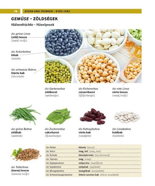 Produktbild: PONS Bildw&ouml;rterbuch Ungarisch