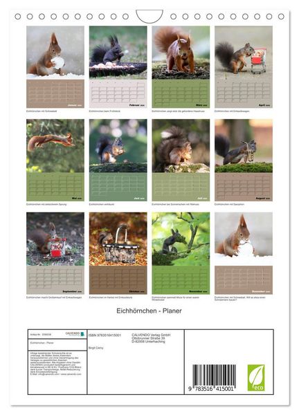 Produktbild: Eichh&ouml;rnchen - Planer (Wandkalender 2026 DIN A4 hoch), CALVENDO Monatskalender