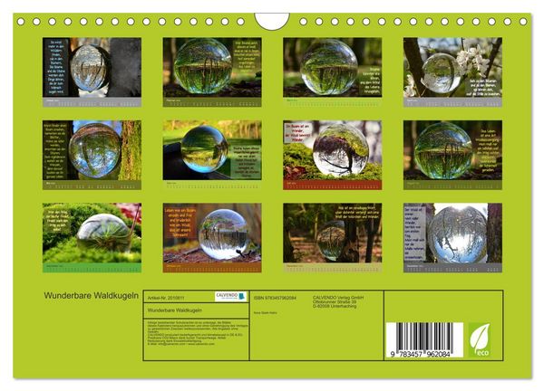 Produktbild: Wunderbare Waldkugeln (Wandkalender 2026 DIN A4 quer), CALVENDO Monatskalender
