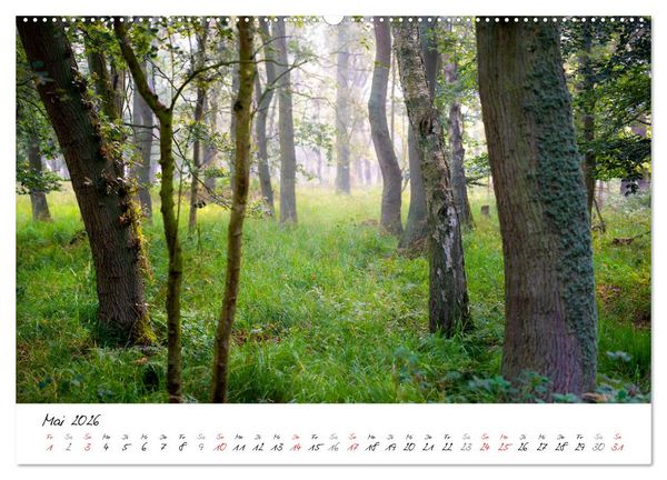 Produktbild: Mein Fischland! Unterwegs auf dem Dar&szlig; (Wandkalender 2026 DIN A2 quer), CALVENDO Monatskalender