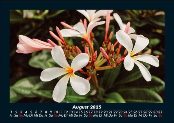 Produktbild: Natur 2025 Fotokalender DIN A5